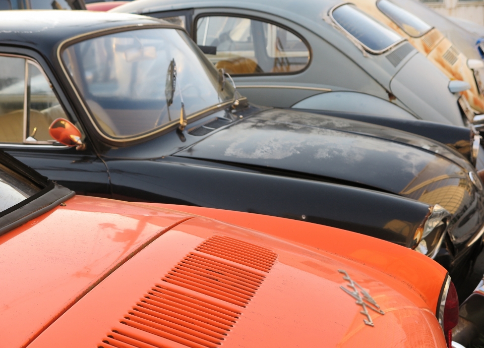 オークションも展示も開催